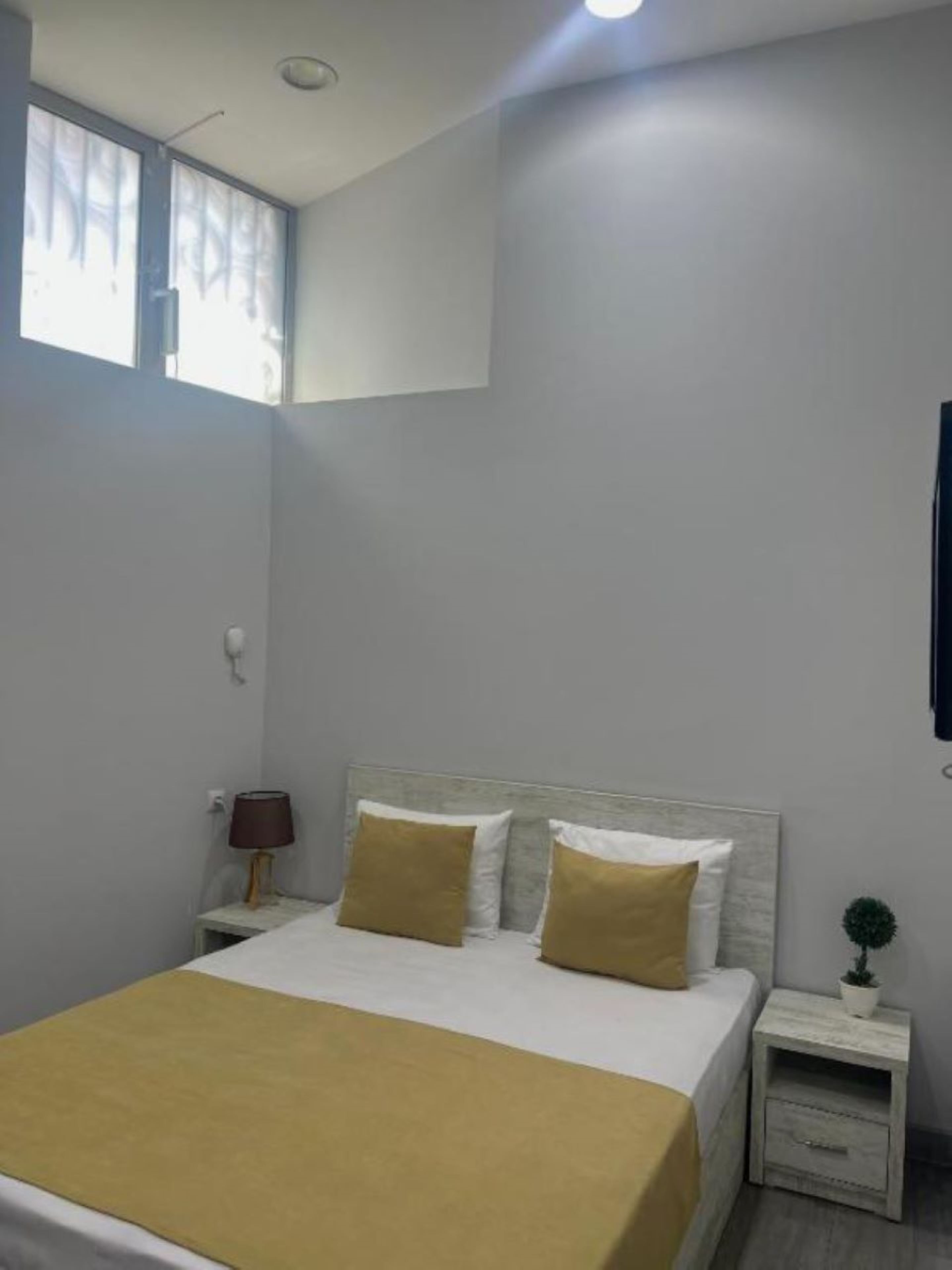 Ein Schlafzimmer mit Bett, Nachttisch, Lampe und einem kleinen Topf mit Pflanze.