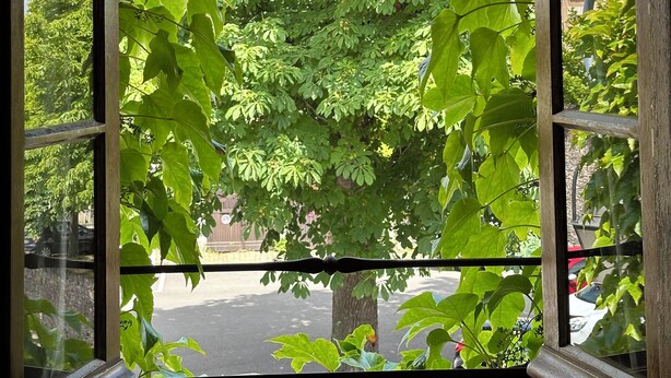 Une fenêtre donnant sur un arbre et une rue.