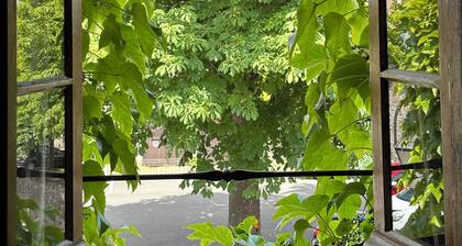 "Le Petit TintĂ©niac" T2 cosy au cĆur de la Doutre