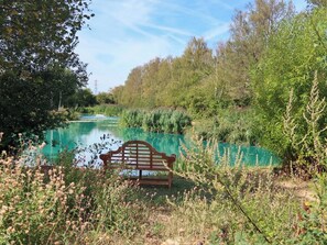 A bench overlooking a body of water with surrounding greenery. - A peaceful location for a relaxing break with excellent fishing to enjoy. (Marston)