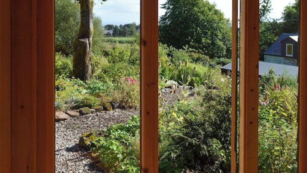 Une fenêtre à cadre en bois donnant sur un jardin luxuriant, un arbre et une maison en arrière-plan.