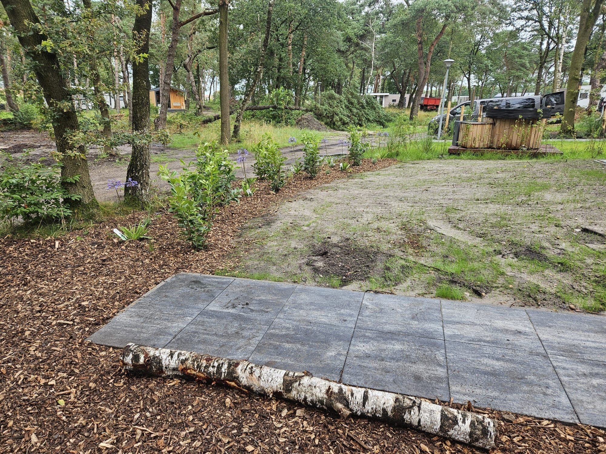 Uma área pavimentada com uma borda de madeira, cercada por árvores e vegetação.
