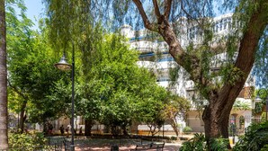 Un parc avec des bancs, un lampadaire et un grand arbre.