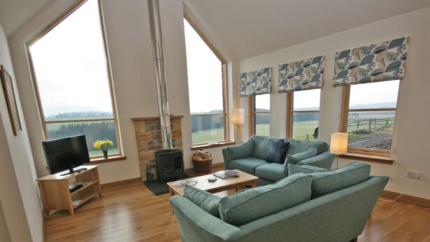 A spacious living room with a green sofa, a television on a wooden stand, a fireplace, and large windows offering a view of the outdoors.