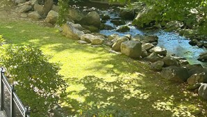 A serene outdoor area with a small stream, large rocks, and lush greenery. - Creek and Mountain Views.  Can’t ask for more (Gatlinburg)