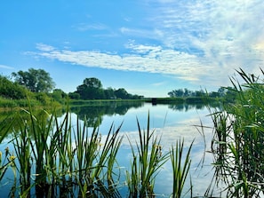 Unclassified image, 2 of 37, button