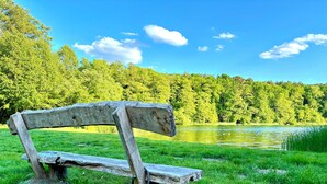 Eine Holzbank in einer grünen Wiese, im Hintergrund ein See und ein Wald.