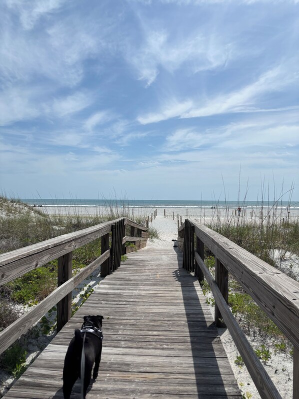 A wooden boardwalk leading to a beach with a dog walking on it.
