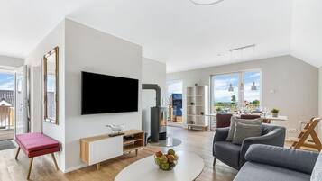 Smart-TV, Kamin