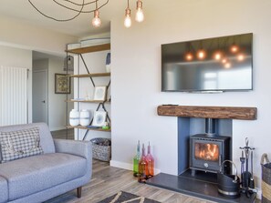 TV, fireplace