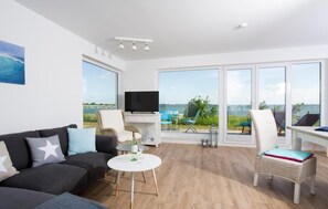 TV, stereo - Beach front apartment in Olpenitz (Olpenitz)