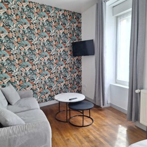 Smart TV - Appartement RDC Centre Ville (Mayenne)