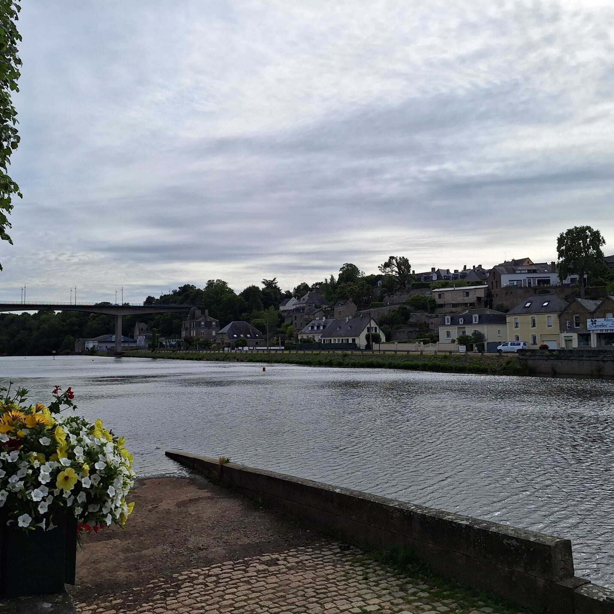 Une vue sur le fleuve, avec un pont, des maisons et un parterre de fleurs.