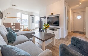 مدفأة، مشغل دي في دي