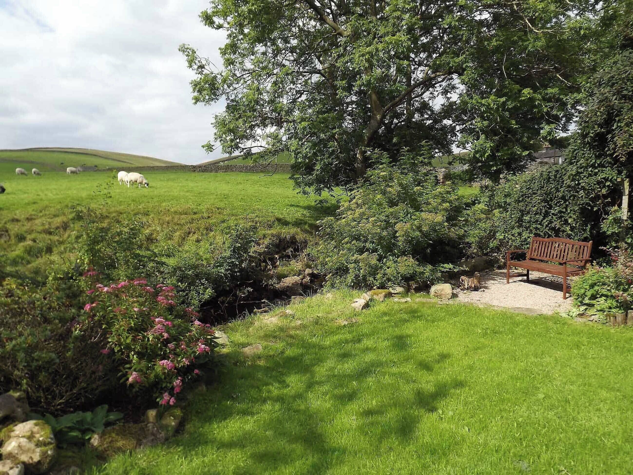 A grassy field with a bench and a tree.