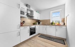 Fridge, oven, stovetop, dishwasher