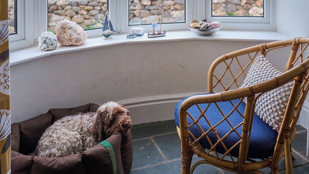 A room with a bay window overlooking a stone wall and green field. A wicker chair with a blue cushion and a dog bed with a dog are visible. - Chapel Cottage - UKC4683 (Clynnog Fawr)