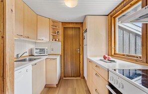 Fridge, stovetop, dishwasher