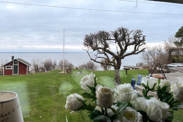 view-from-room