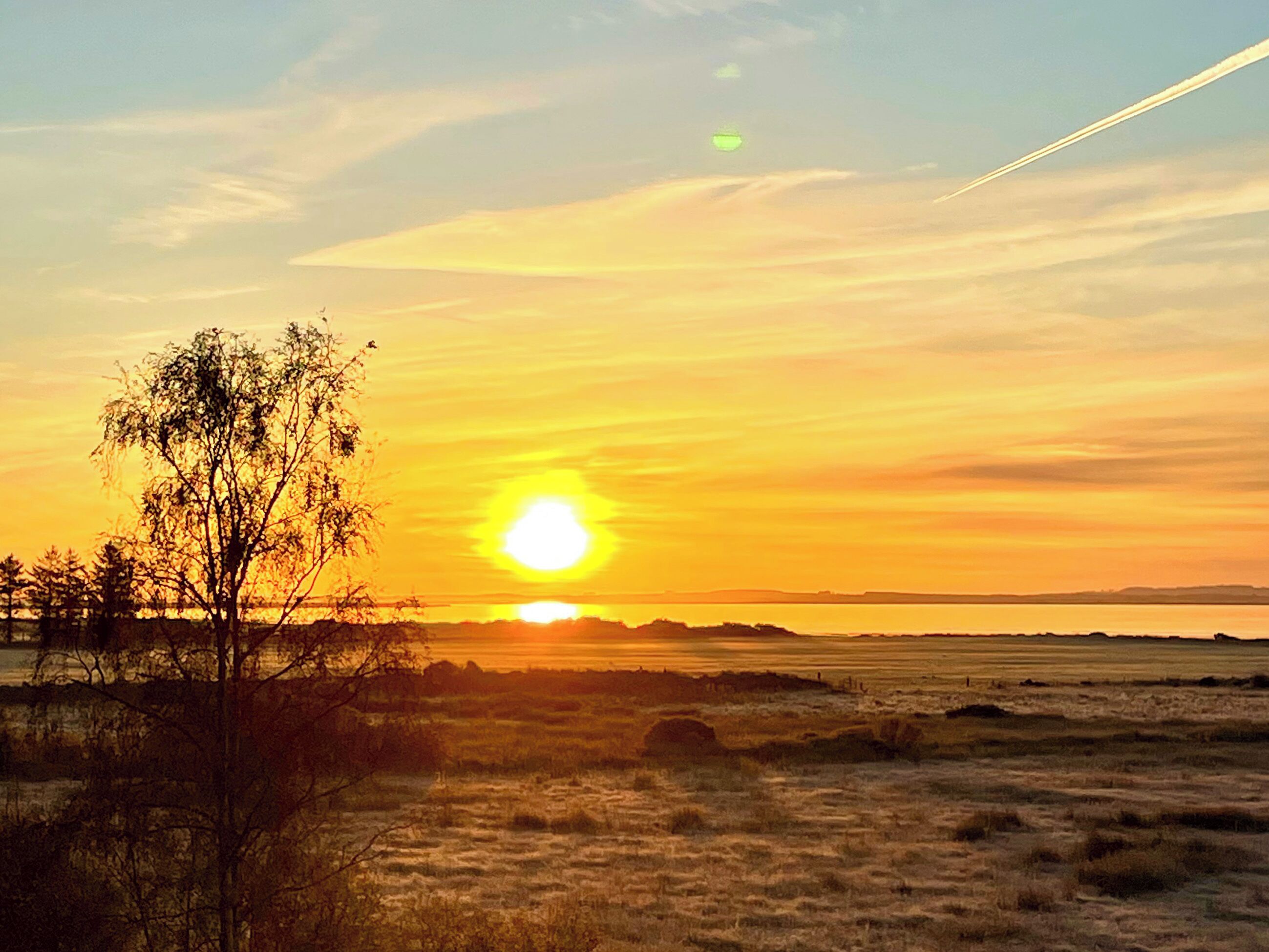 Ein Sonnenuntergang über einer flachen Landschaft, mit einem Baum im Vordergrund und einem wolkenlosen Himmel.