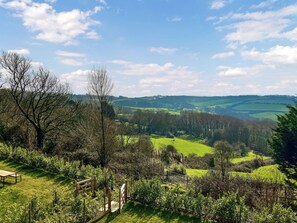 Unclassified image, 2 of 29, button