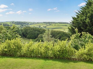 Unclassified image, 3 of 29, button