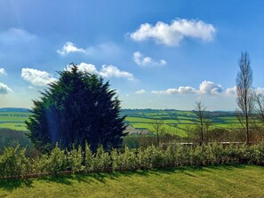 Unclassified image, 4 of 29, button