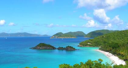 Prime Oceanfront, Remodeled St. Thomas 2BR/2BA Condo-Poolside, W/D, & Dining