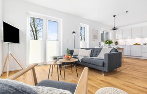 Fernseher, Kamin
