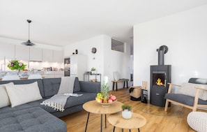 Fernseher, Kamin