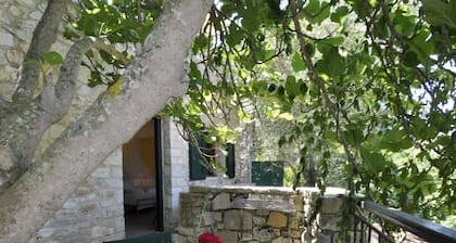 Guest House 'Adamantia Room A3' with Shared Terrace, Wi-Fi and Air Conditioning