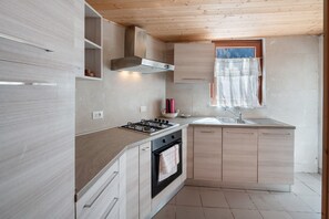 Fridge, oven, stovetop, electric kettle