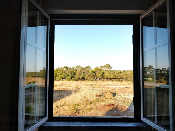 An open window revealing a view of a grassy field with trees in the distance.