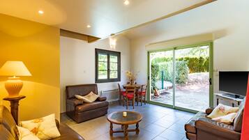 TV, fireplace, video games, DVD player