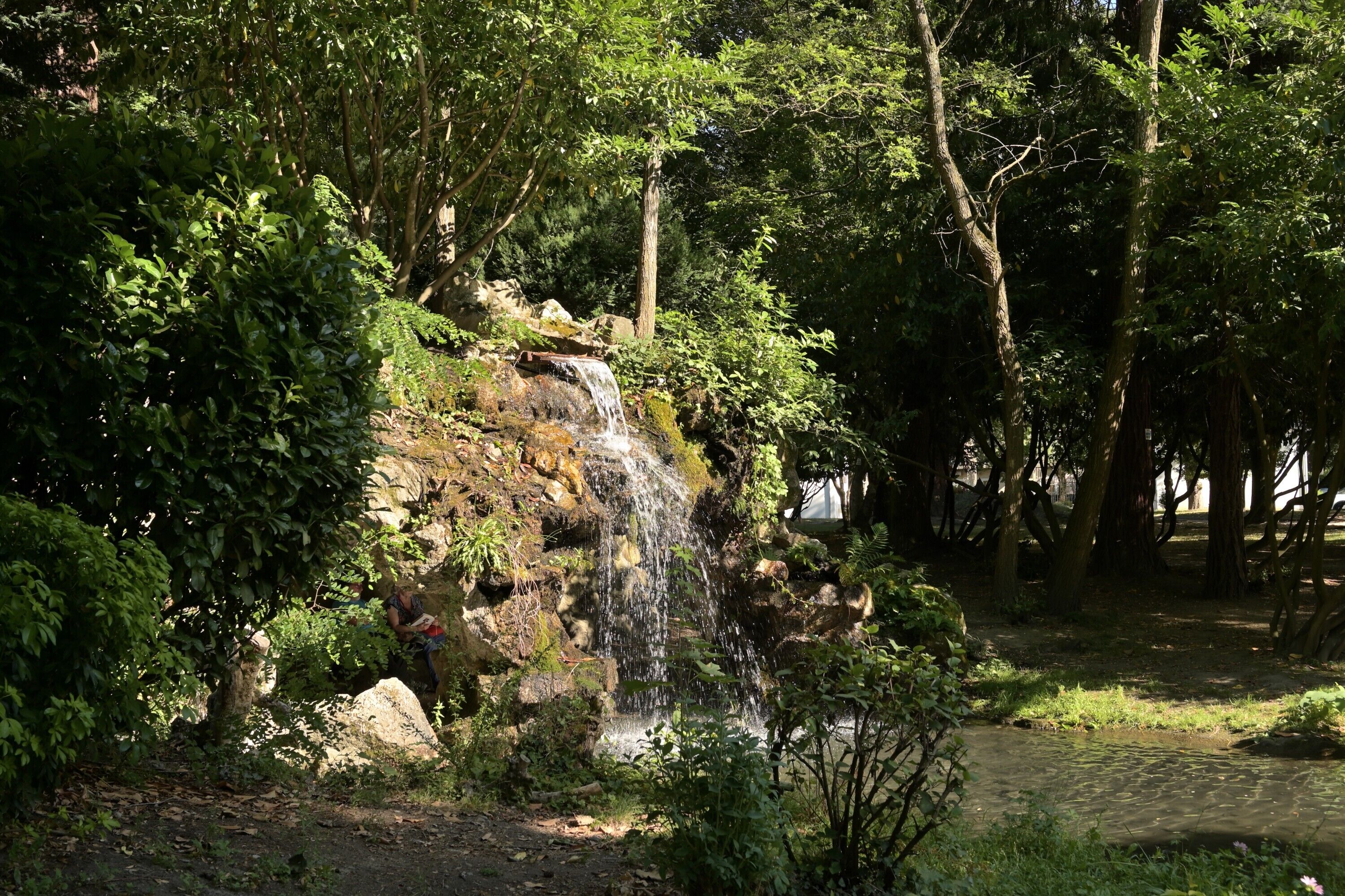 Una cascada rodeada de exuberante vegetación y árboles.