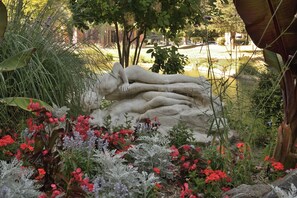 Overnatningsstedets område