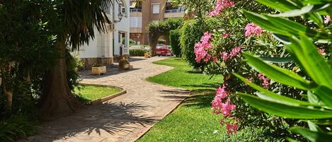 A paved pathway leading to a building with a car parked nearby.