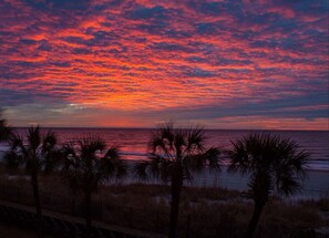 Beach nearby, sun loungers - Cozy 2-bedroom condo with AC and WiFi in charming Myrtle Beach! (Myrtle Beach)