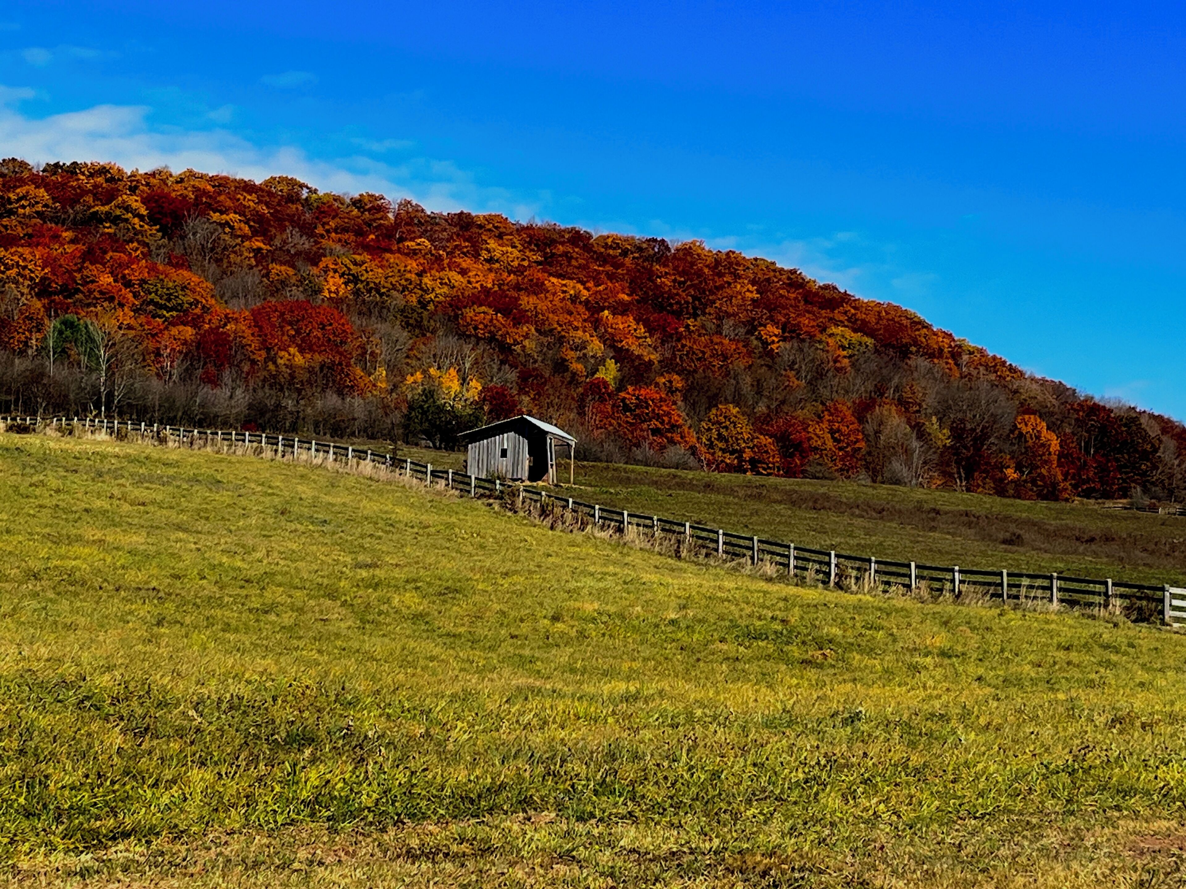 Ländliche Landschaft mit einer Holzhütte auf einem grasbewachsen Hügel, umgeben von einem Holzzaun und einem Wald mit herbstlich gefärbten Bäumen.