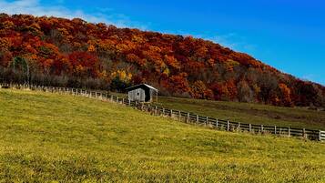 Ländliche Landschaft mit einer Holzhütte auf einem grasbewachsen Hügel, umgeben von einem Holzzaun und einem Wald mit herbstlich gefärbten Bäumen.