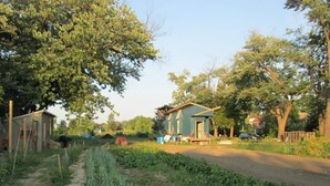 A rural setting with a small house, a dirt path, and a field of crops. - 5-Acre-Secluded-Farm-Detroit-SwimmingPond-First-Black-Owned-Cider-Mill (Detroit)