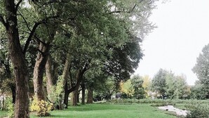 A grassy outdoor area with a fire pit surrounded by tree stumps. - 5-Acre-Secluded-Farm-Detroit-SwimmingPond-First-Black-Owned-Cider-Mill (Detroit)