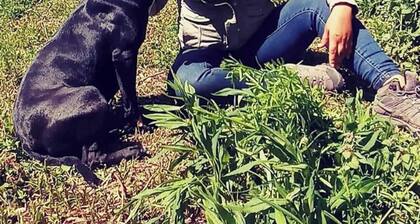 5-Acre-Secluded-Farm-Detroit-SwimmingPond-First-Black-Owned-Cider-Mill