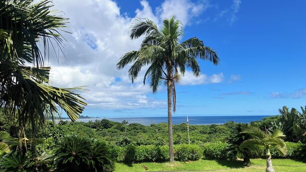A view from a balcony with a table and chairs, overlooking a lush landscape with a tall palm tree and a distant view of the ocean. - South Sea Ishigaki (Ishigaki)