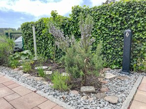Stroll through a tranquil garden surrounded by lush greenery and a neatly arranged path.