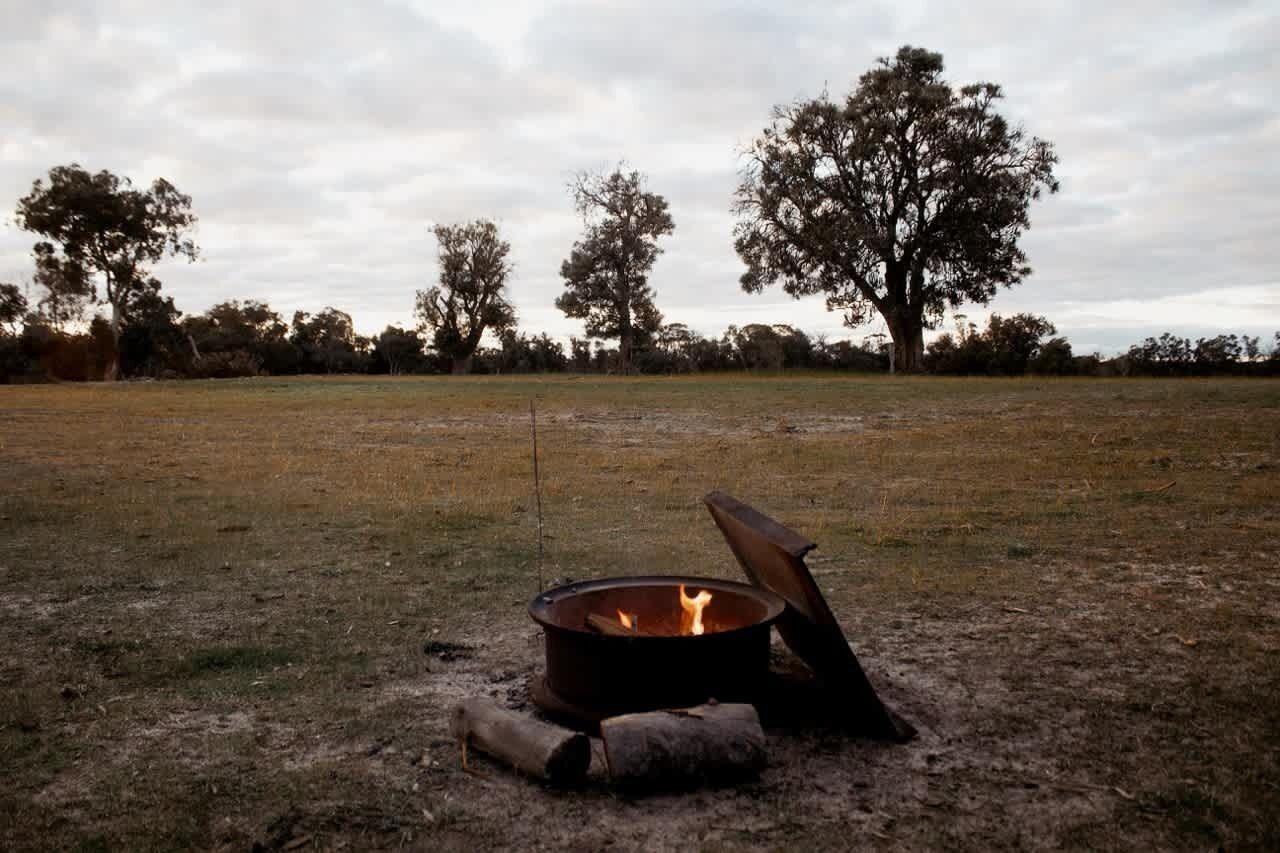 A campfire in an open field with trees in the background.