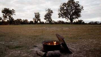 A campfire in an open field with trees in the background.
