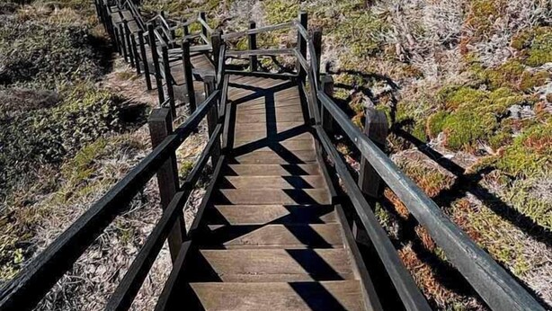 A wooden staircase leading to a rocky beach with a view of the ocean. - Orana Cabin by Tiny Away (Cherry Tree Pool)
