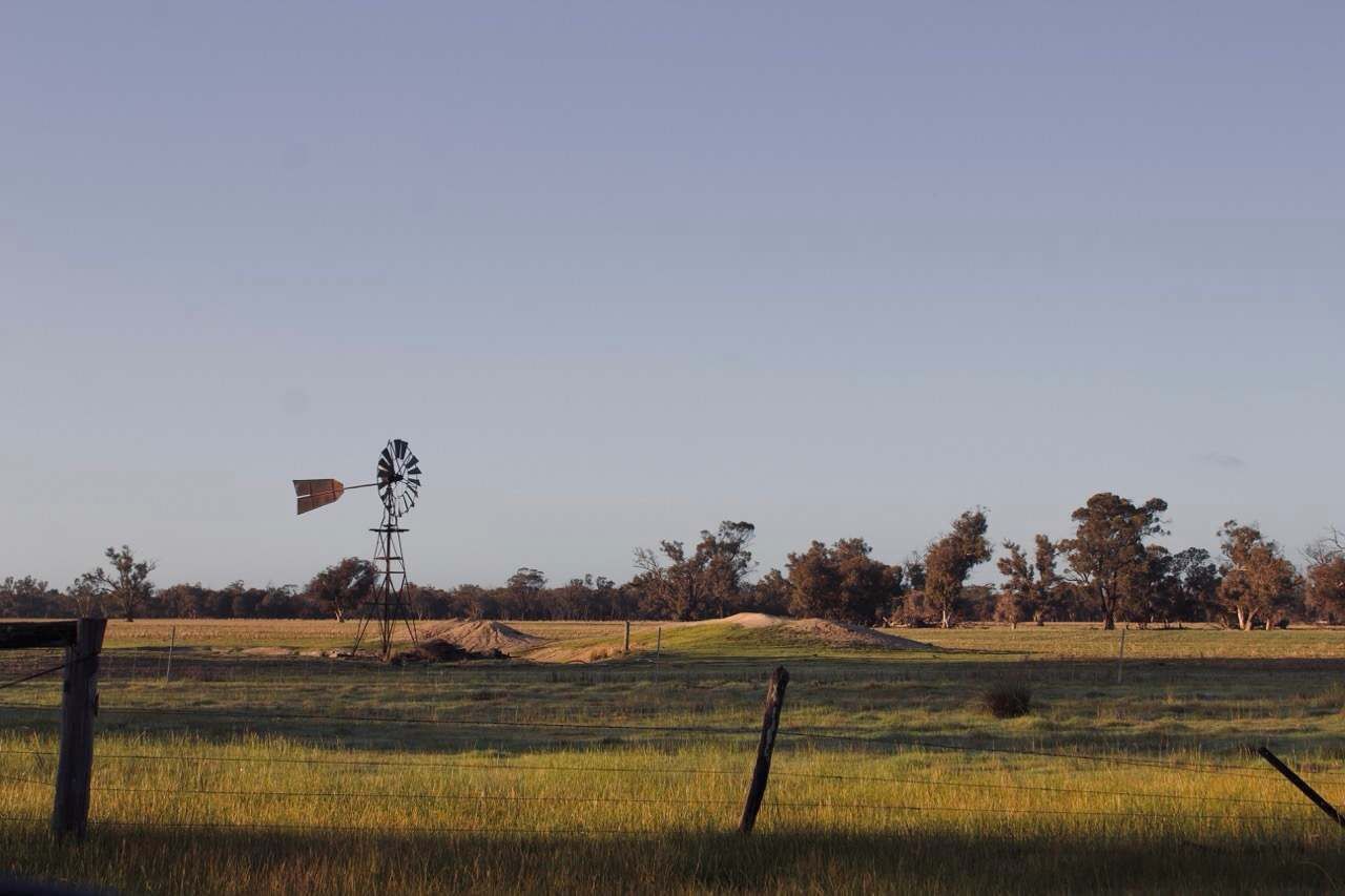 A windmill in a rural field with trees in the background.