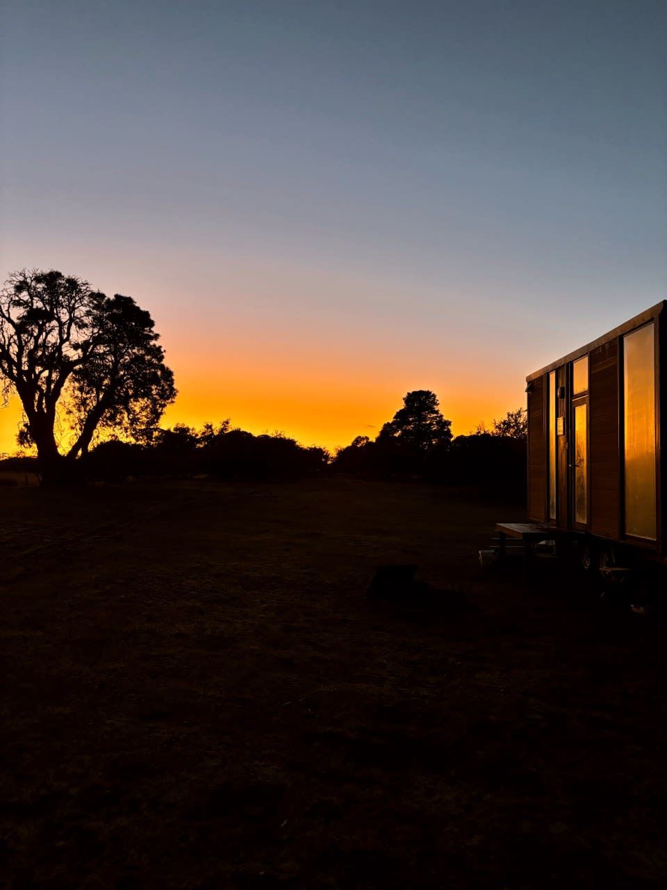 A building with a large glass facade, a grassy field, and a tree silhouette against a sunset sky.